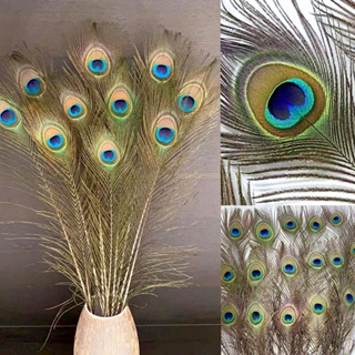 Lots 10~100PCS Natural Real Peacock Tail Eye Feathers DIY Feather House  Decor @