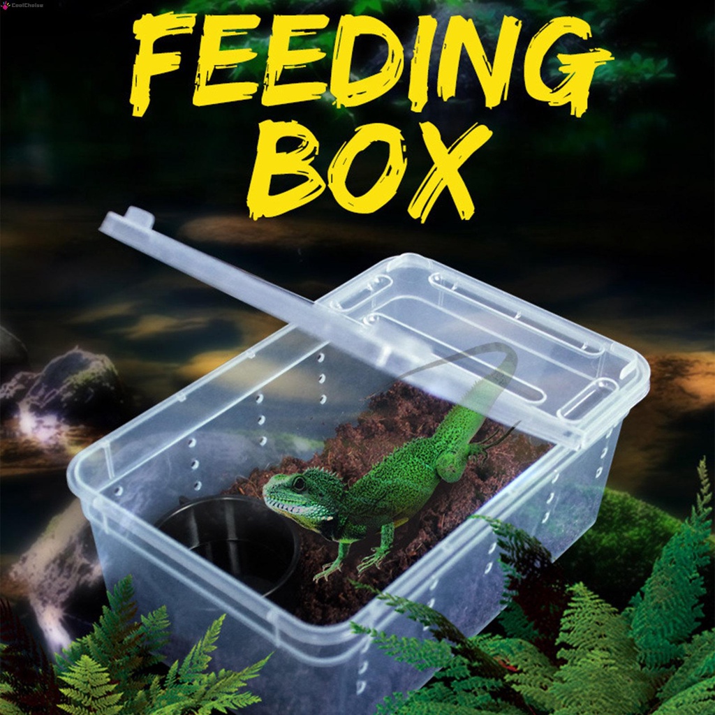 Reptile Small Snake Feeding Box Lizard Tarantula Habitat Cage Hatching