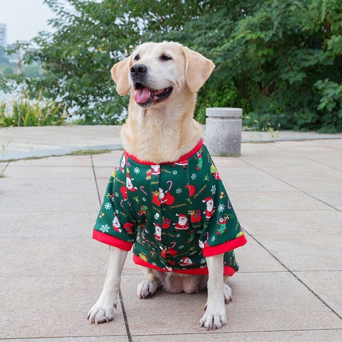 Christmas clothes for 2025 big dogs