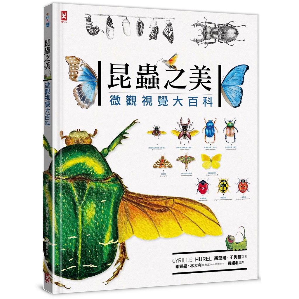 Insect Beauty: Micro Visual Encyclopedia 11101056448 Taaaze Reading ...