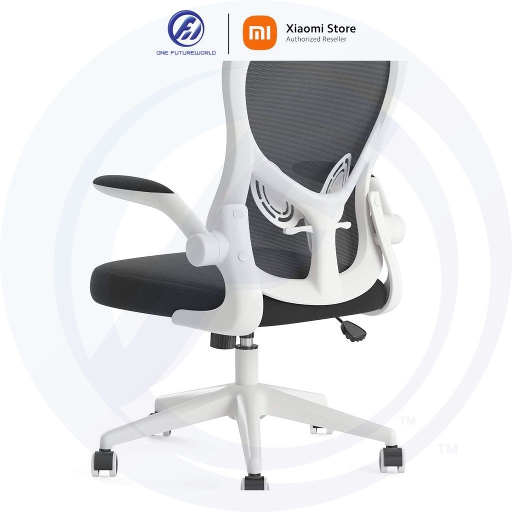 Xiaomi HBADA Ergonomic Office Chair for Home Office Gaming Room