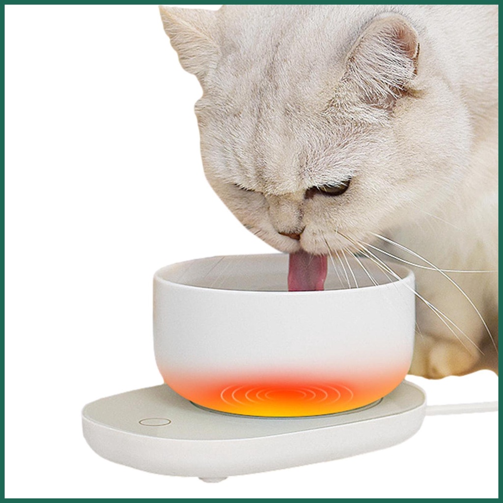 Heated cat outlet water dish