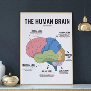 Brain Canvas Painting Art Human Anatomy Muscles System Poster Body Map ...