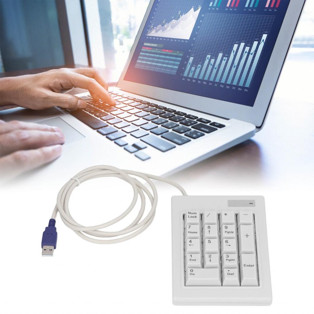 Seashorehouse Mechanical Numeric Keypad HD Characters 17 Key Linear ...