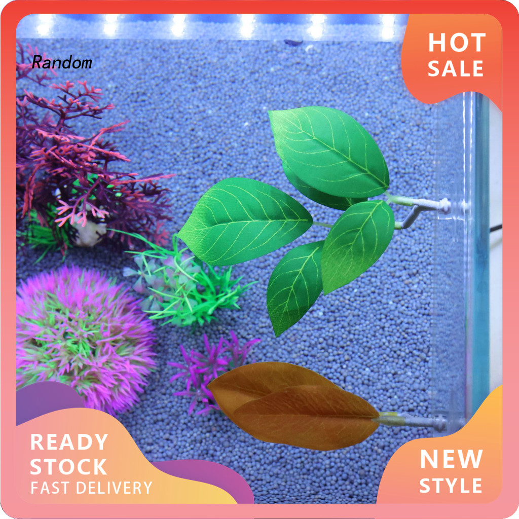 Stunning Decorating A Fish Tank With Aquatic Plants image