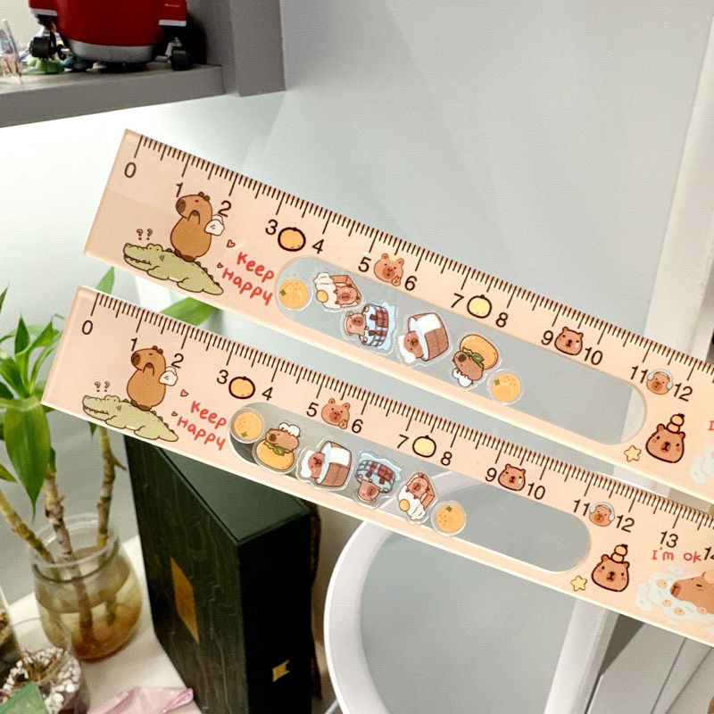 Cute Cartoon Capybara Acrylic Shaker Rocker Ruler 15cm Straightedge ...