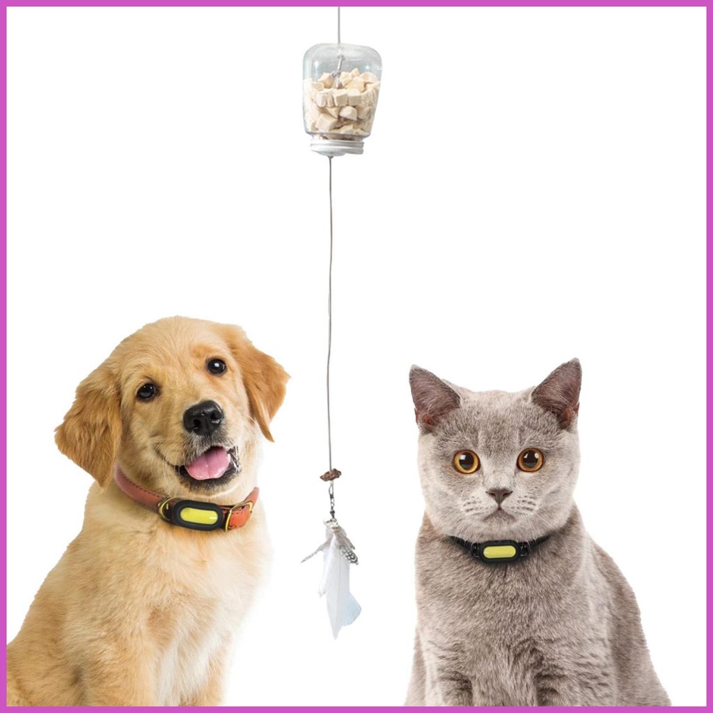 Cat Interactive Treat Toy Ball Food Tracking Feeder With Retractable ...