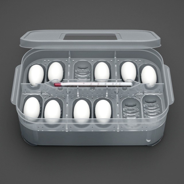 Turtle Egg Hatching Incubator Turtle Egg Lizard Egg Snake Egg Turtle ...