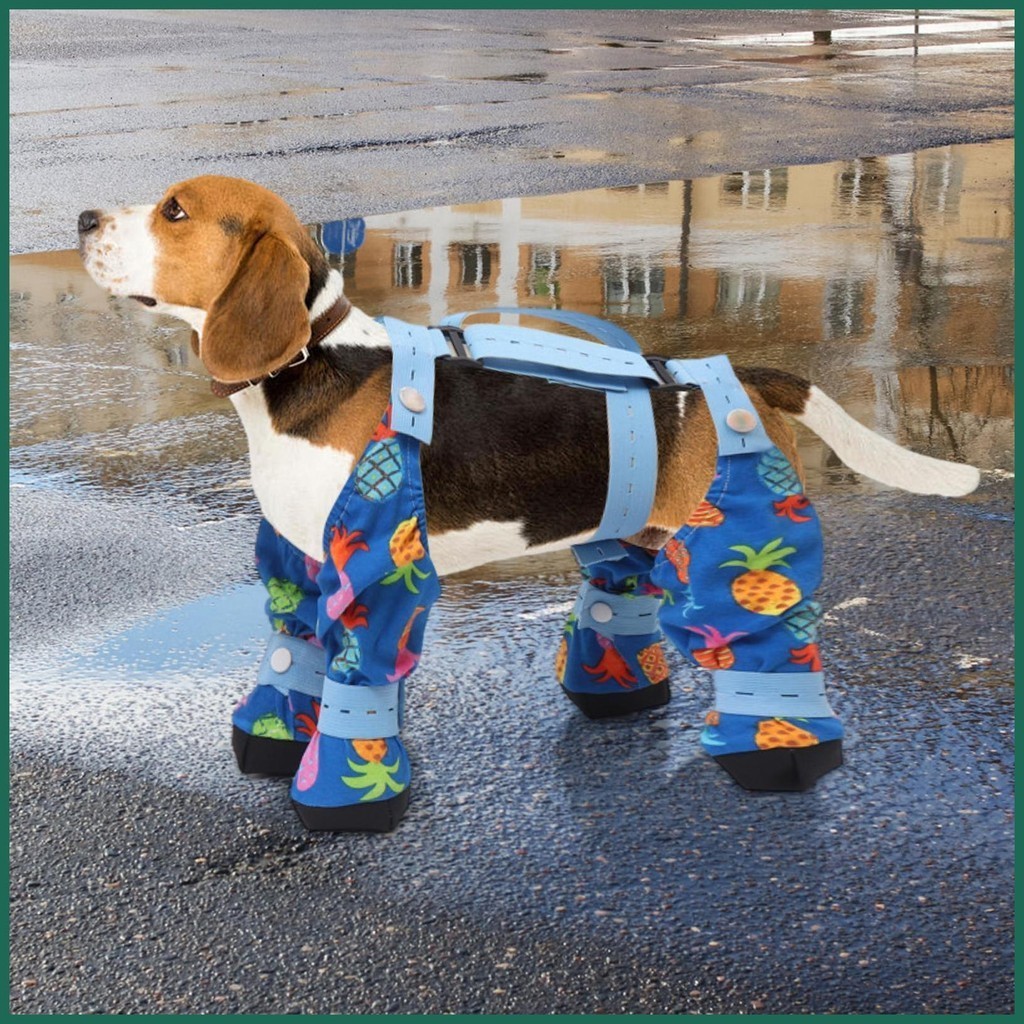 Beagle rain hot sale boots