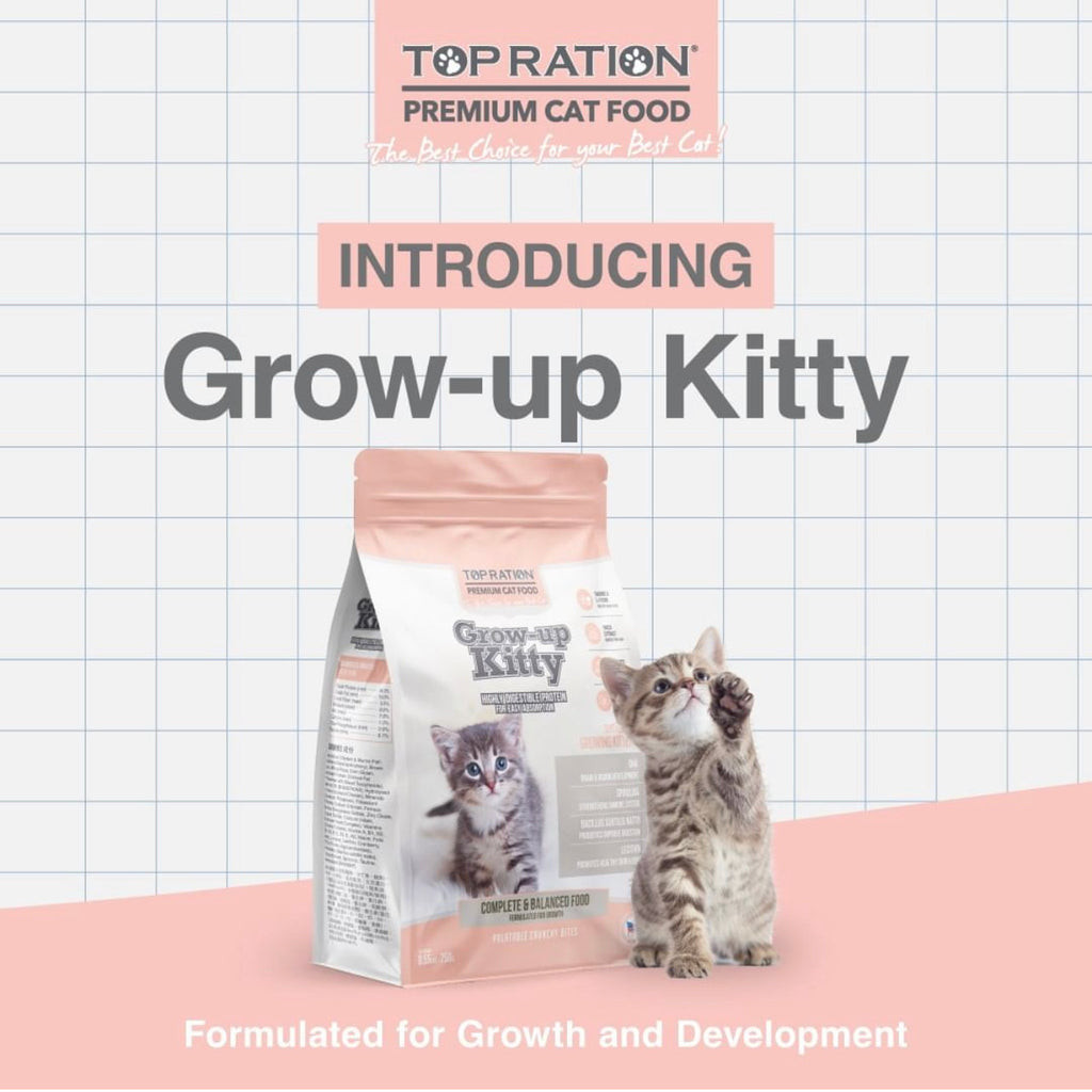 Top Ration Grow Up Kitty Kitten Dry Cat Food 250g Shopee Singapore