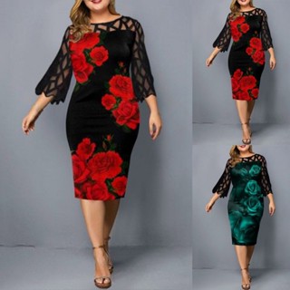 Plus Size Mesh Lace Dresses For Women, Long Sleeve Fall Clothes