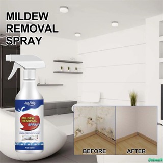 mold+cleaner - Prices and Deals - Jan 2024