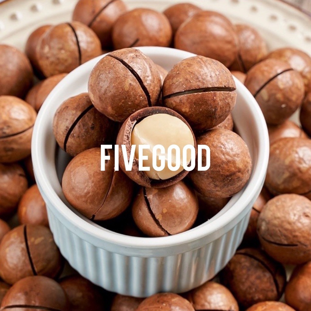 500gr 1kg halal macadamia Nuts in shell readytoeat Lock Nut (One