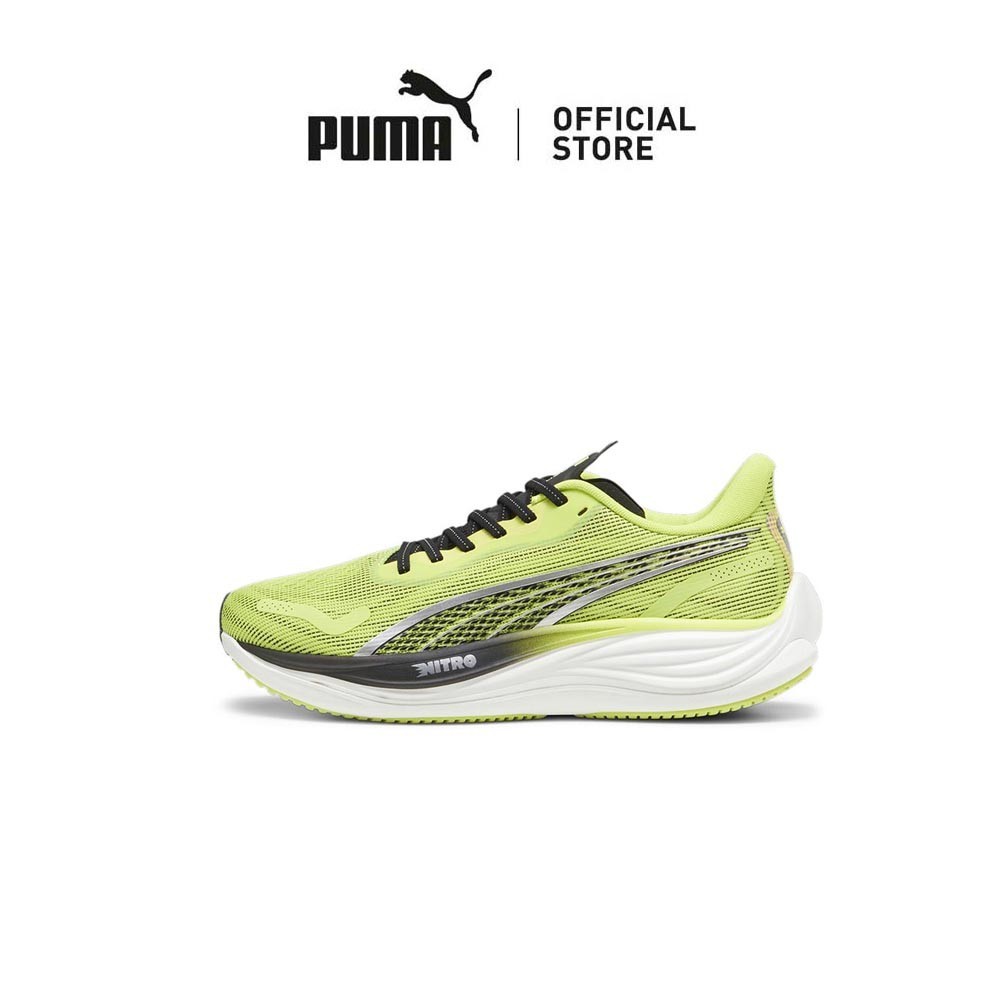 Puma road deals running shoes