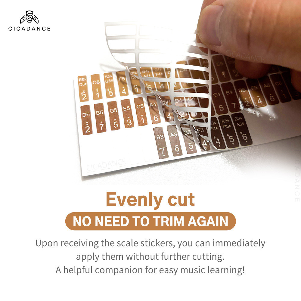 41 Key Kalimba Note Sticker For Beginner Thumb Piano Scale Sticker ...