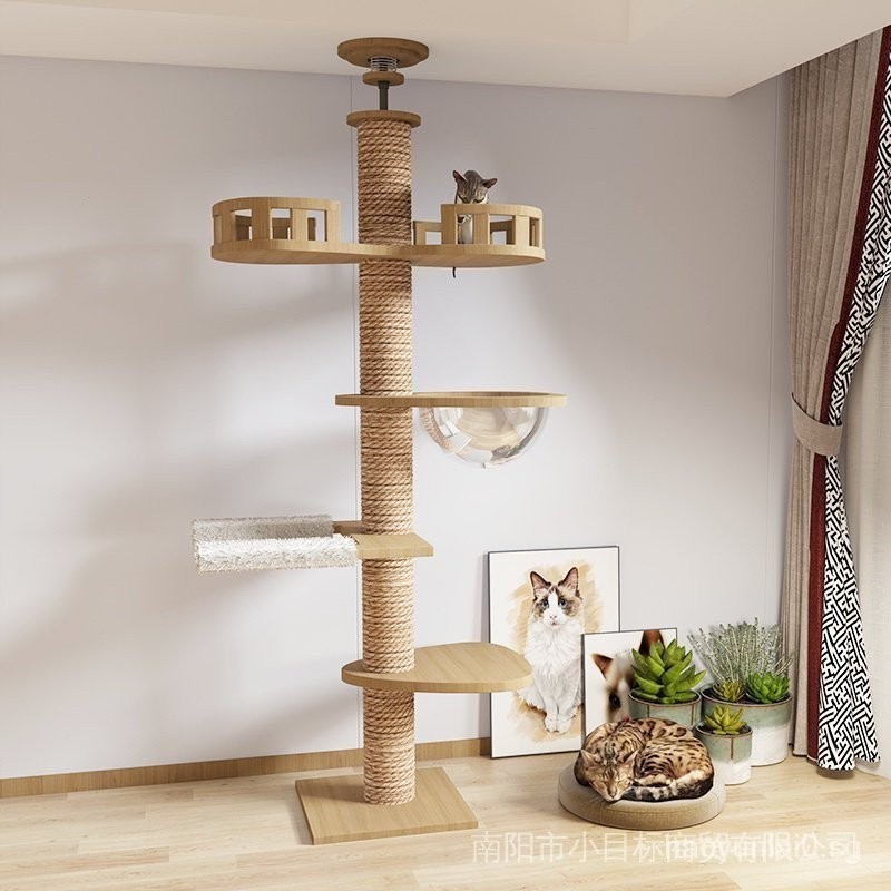 【SG local send】cat pole/cat tree/cat tower/cat climbing frame/cat ...