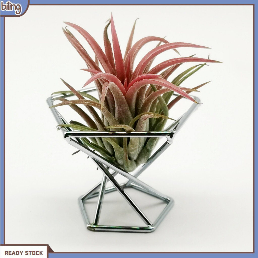 {biling} 3Pcs Decorative Geometric Fern Plant Stand Metal Widely Use ...