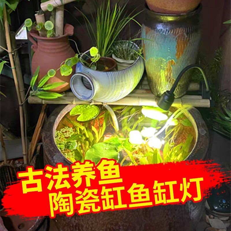[48H Shipping] 4519Highly Rated Traditional Fish Tank Fill Light ...