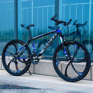 Adult bikes hot sale online