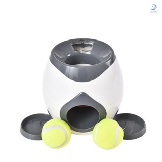 Electric ball launcher outlet for dogs