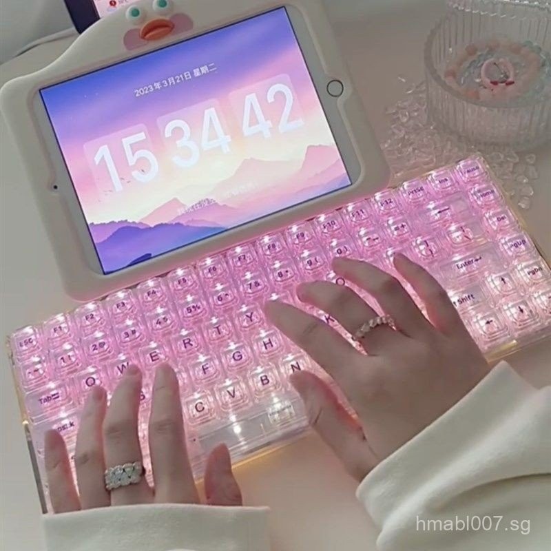 Transparent Mechanical Keyboard Custom Wired RGB Hot-Swappable Switch ...