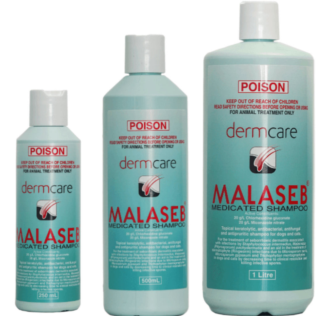 malaseb Prices and Deals Mar 2024 Shopee Singapore