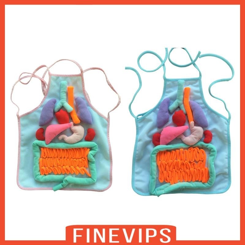 [finevips] 3d Organ Apron Children Learning Apron For Body Parts 