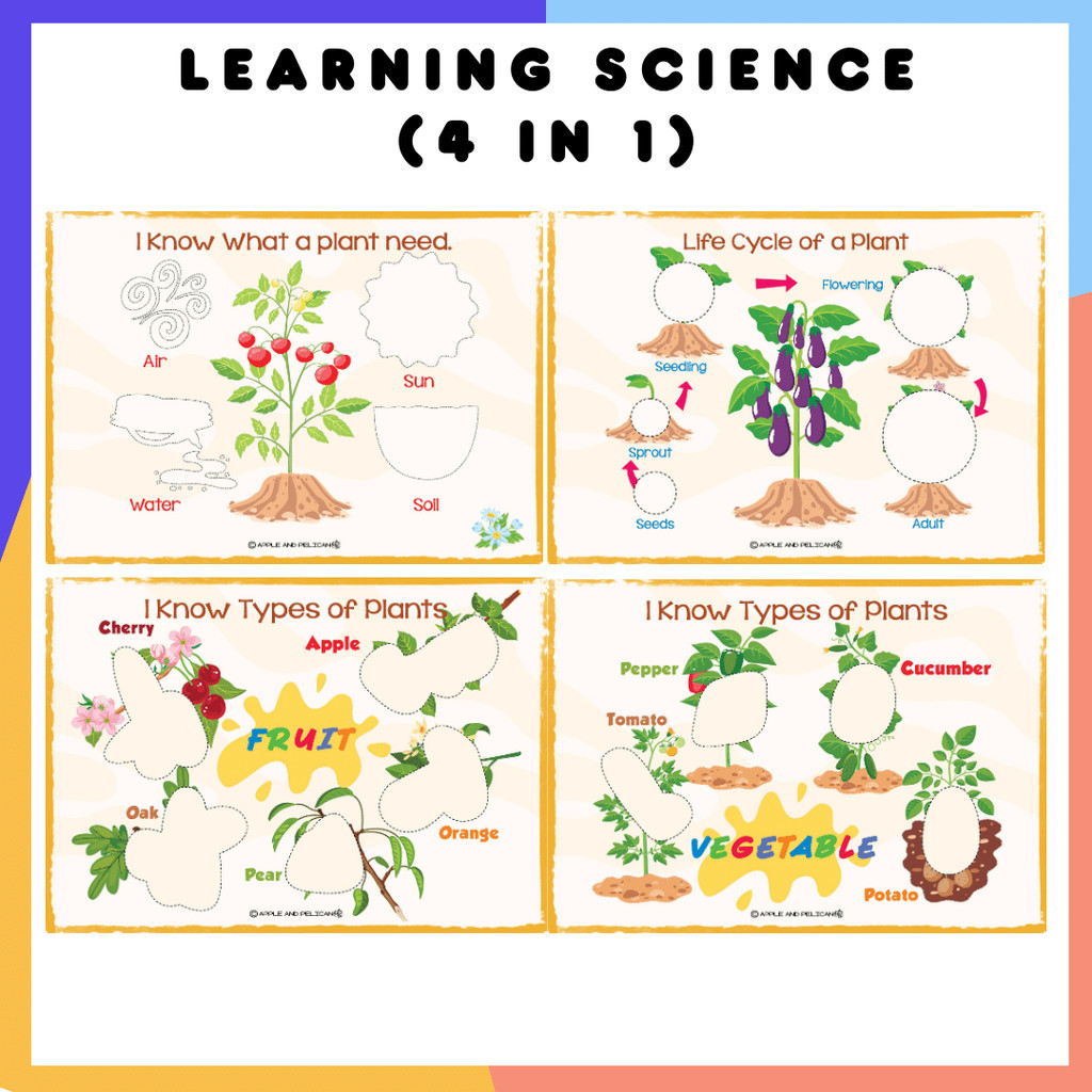 Montessori Science Busy Book for Kids Plant Life Cycle Fruits ...