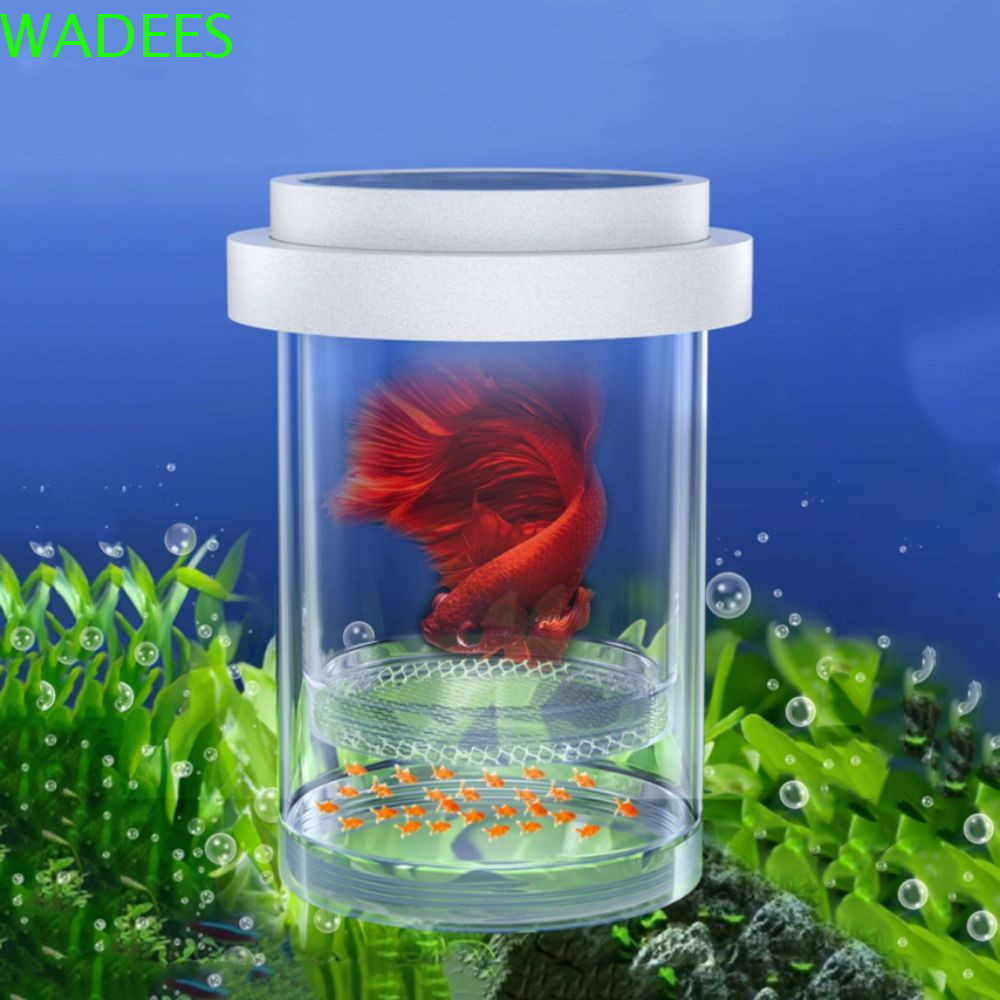WADEES Floating Hatching Box, Plastic White Fish Breeding Isolation Box ...