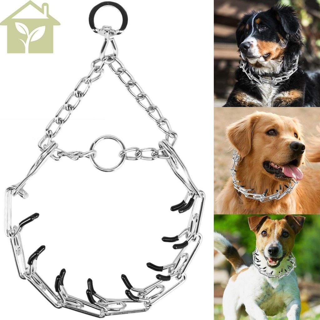 Metal choker collar dog sale