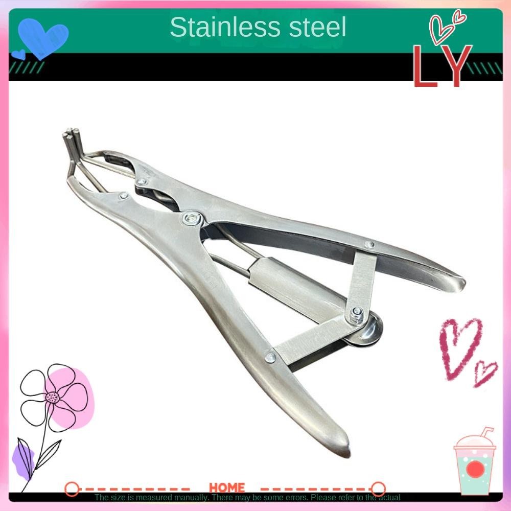 LY Dilating Forceps with Blocking Rings, Silver Stainless Steel Tail ...