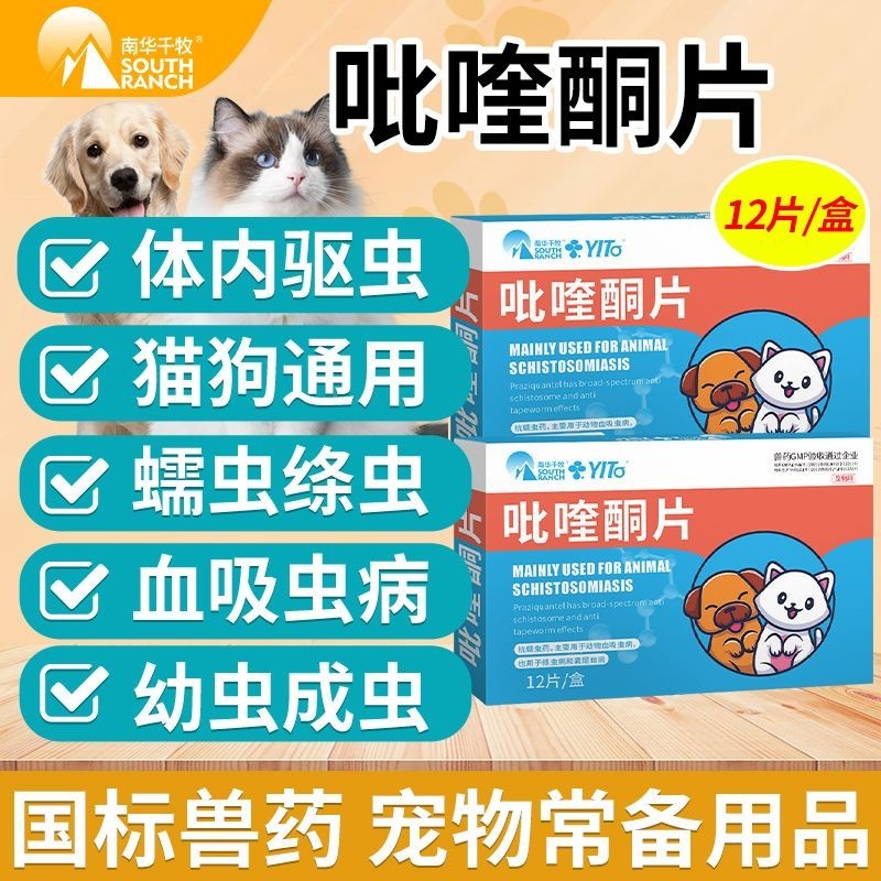 Pet dog and cat deworming medicine coccidia toxoplasmosis infection E