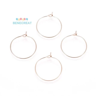 Gold Plated Surgical Steel Earring Wires -  Singapore