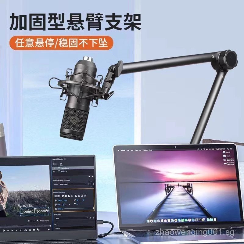 SG Microphone Boom Arm Stand Upgraded Spring-Free Stable Non-Sagging ...