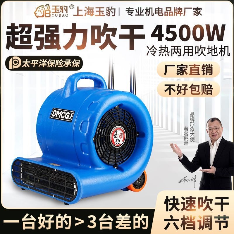 Ground Blower Floor Commercial High Power Dryer Household Toilet Floor ...