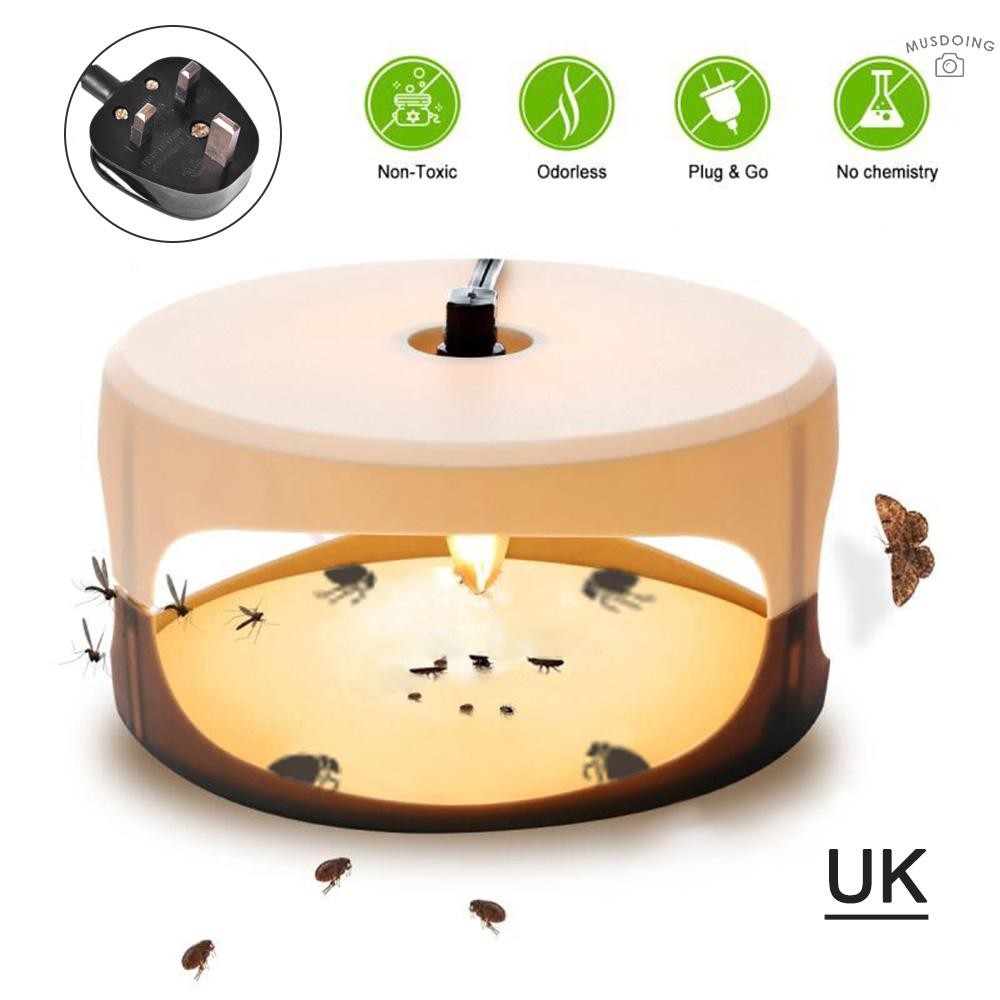 Sticky Flea Trap Dome Flea Bed Bug Trap with 2 Glue Discs, Odorless Non ...