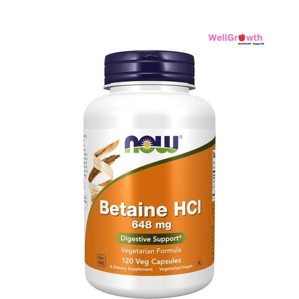 Now (Foods) - Digestive Support, Betaine HCL (120 veggie capsules ...