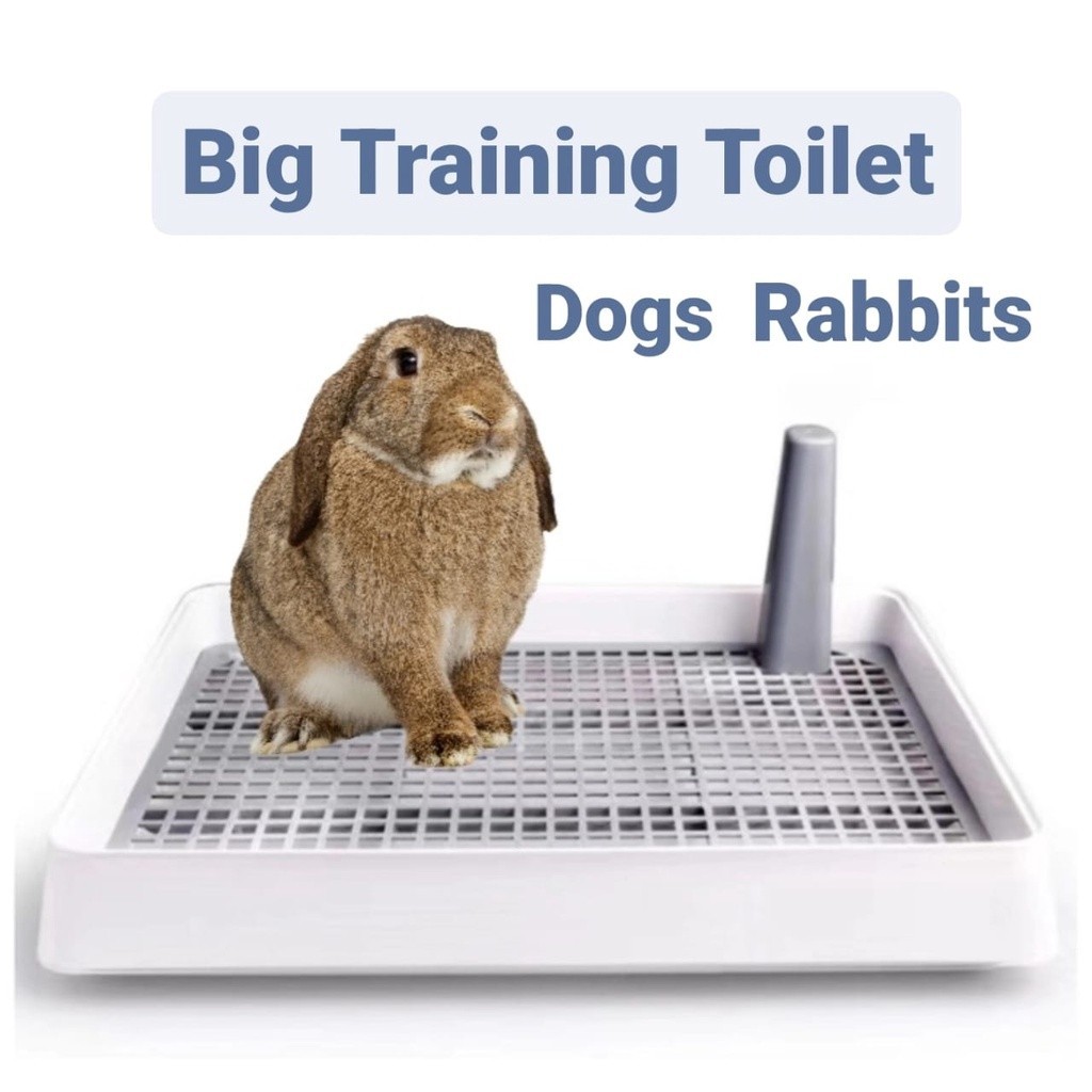 Pet Toilet Big Tray Pet Litter Training Toilet Dog Toilet Dog Potty ...