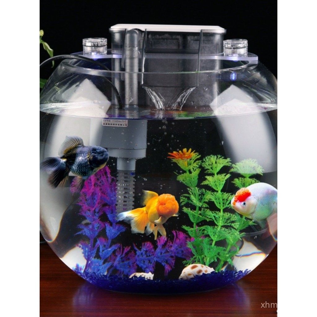 Betta Tank Fishkeeper 2.3G Smart Aquarium - Ultra Clear Glass W/ Auto Timer 8-Color RGB Lights, 4-in-1 Self-Cleaning Silent Water Pump, Aromatherapy, Temperature Display, Perfect For Desktop Decor Fish Tank