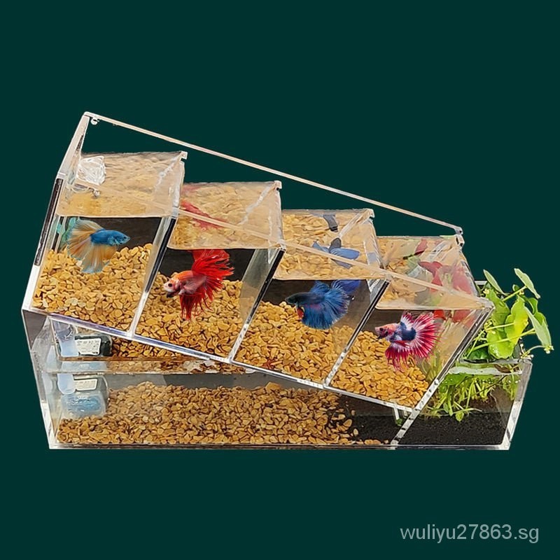 Fast Delivery Betta Tank Small Fish Tank Mixed Multi-Grid Multi-Layer ...