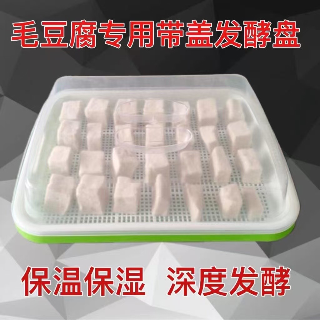 Snack Fermentation Dedicated Plate Long-Haired Mold Tofu Fermented ...