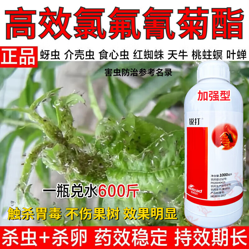 Peach Tree Plum Tree Insecticide Heartworm Tortrix Aphids Red Spider