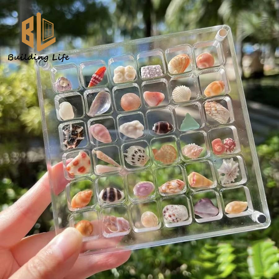 Acrylic Magnetic Seashell Display Box Compact Traveling Shell ...