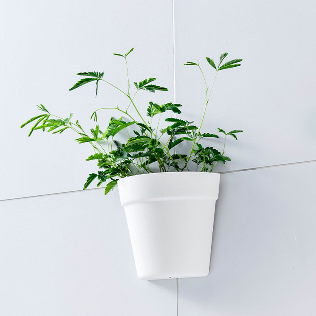 EAS-Wall Hanging Planter Half Circle Shaped Wall Mounted Plant Pot With ...