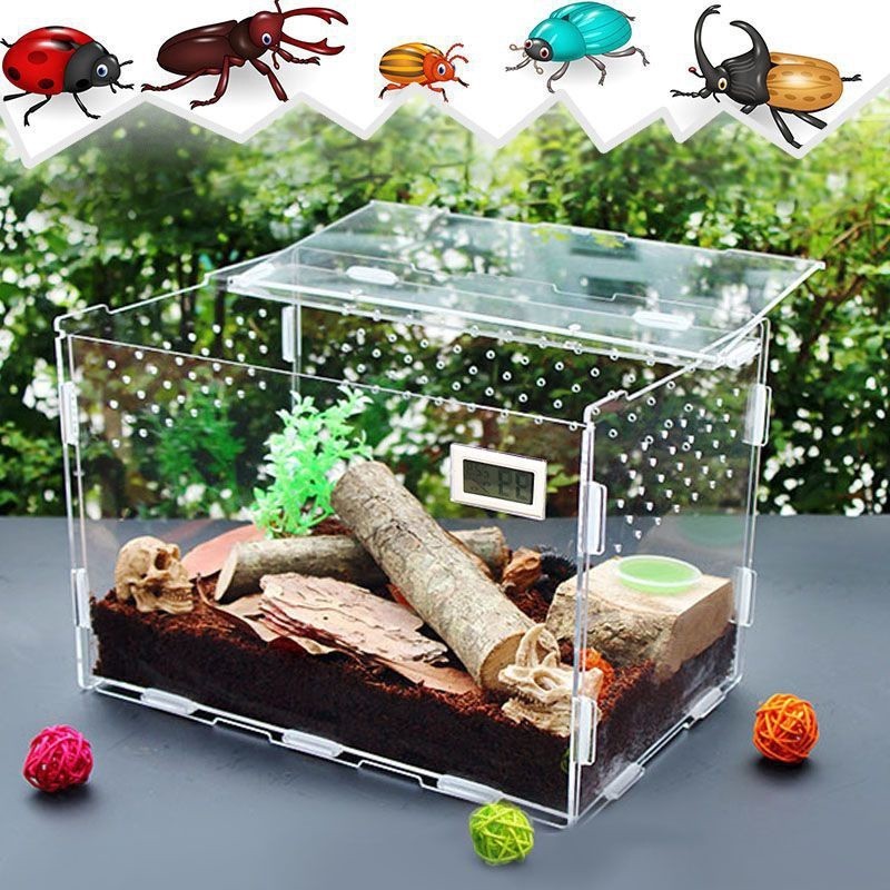 ST/ Pet Climbing Feeding Box Acrylic Transparent Plastic Large Silkworm ...