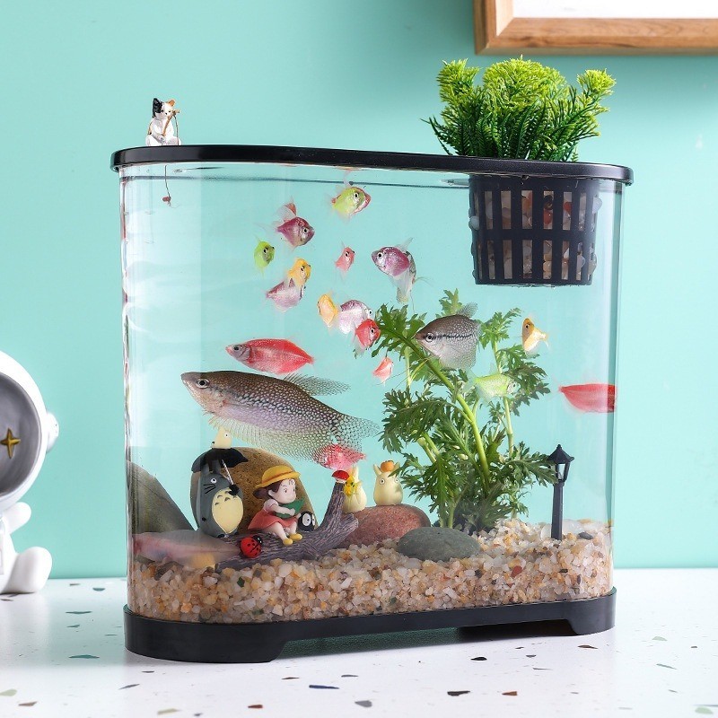 Fish Tank Desktop Aquarium HD Transparent Ecological Fish Tank