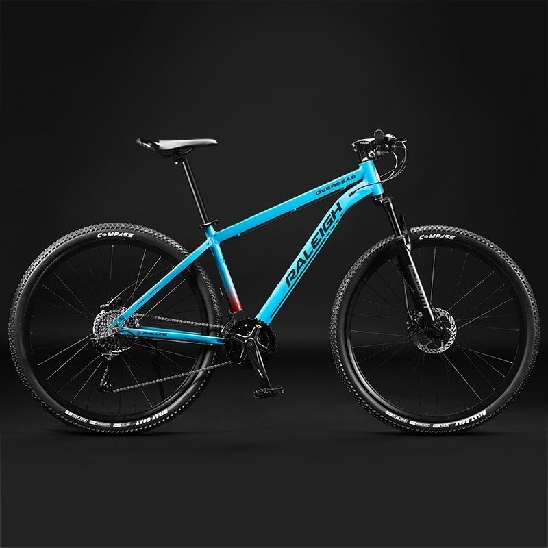 Raleigh mountain bike 29 sale