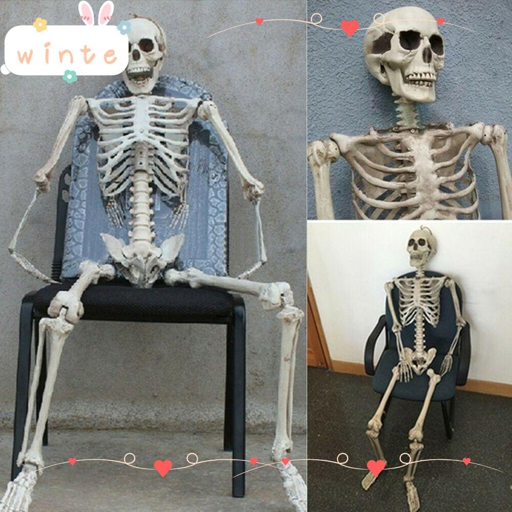 WINTE 1 PC Human Skeleton Party Supply Anatomy Photography Props ...