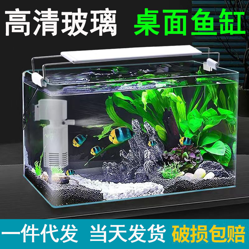 Living Room Small Fish Tank Transparent Hot Bending Glass Integrated ...