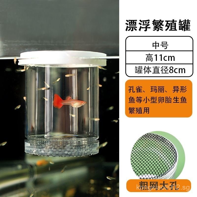 Guppy Breeding Tank Floating Breeding Box for Hatching Baby Fish Mother ...
